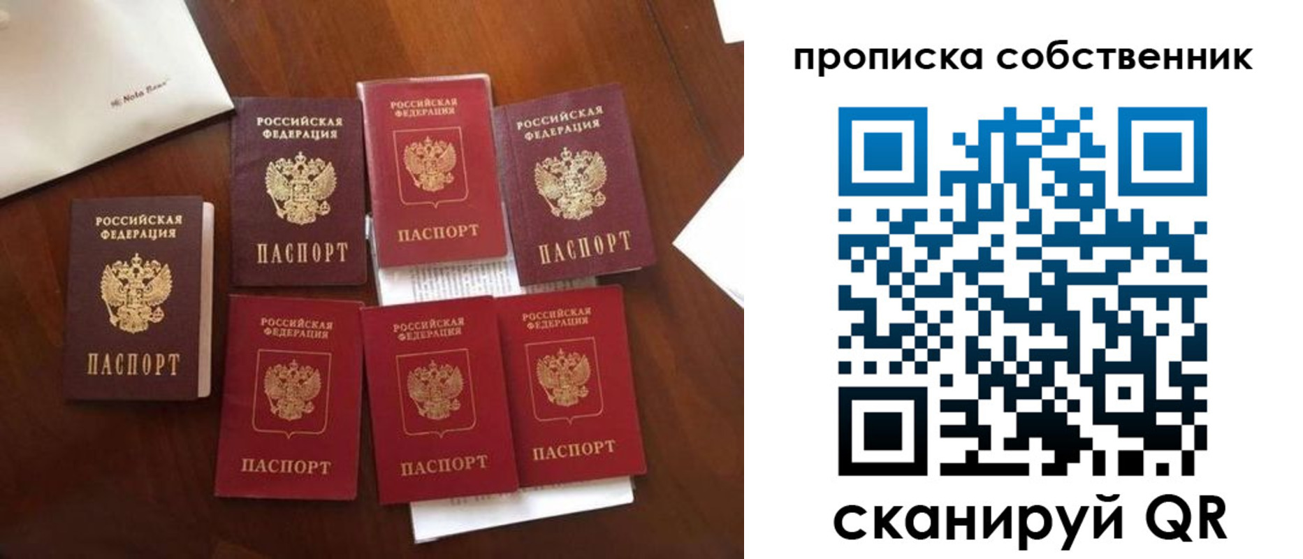 прописка для школы в Электроуглях
